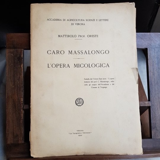 Caro Massalongo. L'opera micologica.