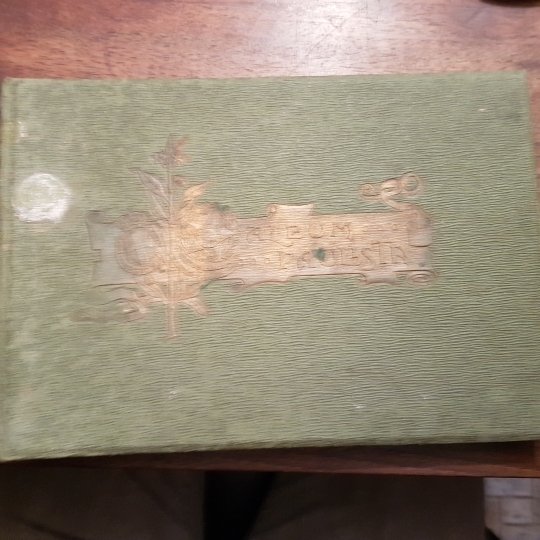 Album Paulista delle proprietà agricole appartenenti agli Italiani nello Stato …