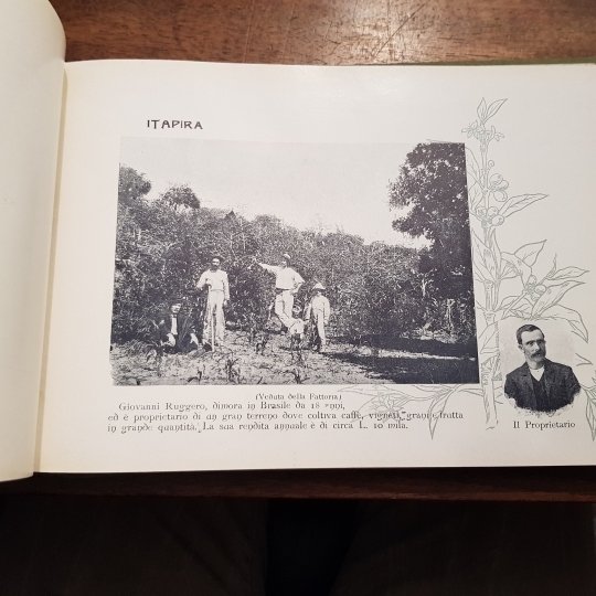 Album Paulista delle proprietà agricole appartenenti agli Italiani nello Stato … | Immagine Gallery 1