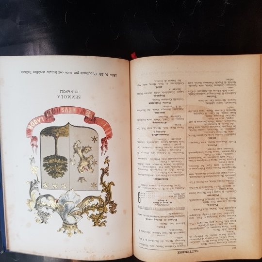 Calendario d'Oro. Annuario Nobiliare Diplomatico Araldico Storico Blasonico. Anno VI.