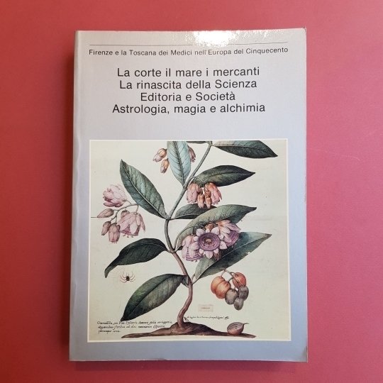 Firenze e la Toscana dei Medici nell'europa del cinquecento. La …