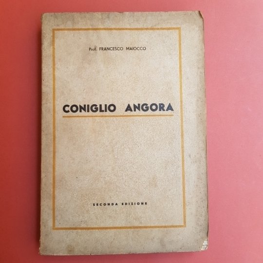 Coniglio Angora. Seconda edizone.