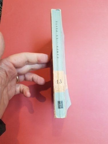 La peste. Traduzione di Beniamino Dal Fabbro.