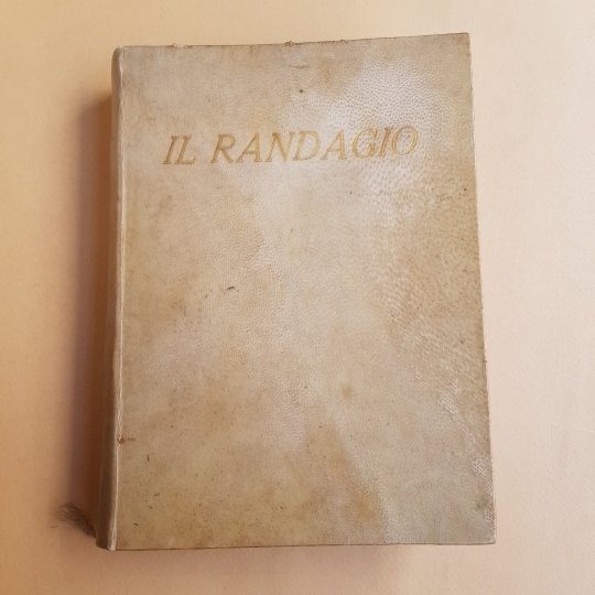 Il randagio