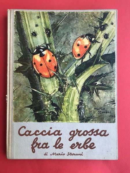 Caccia grossa fra le erbe