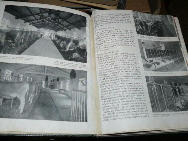 Impianti zootecnici razionali.