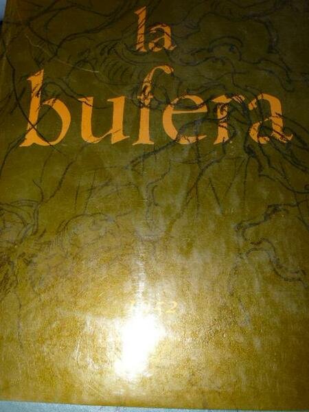 La Bufera. Romanzo