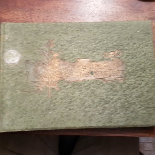 Album Paulista delle proprietà agricole appartenenti agli Italiani nello Stato …