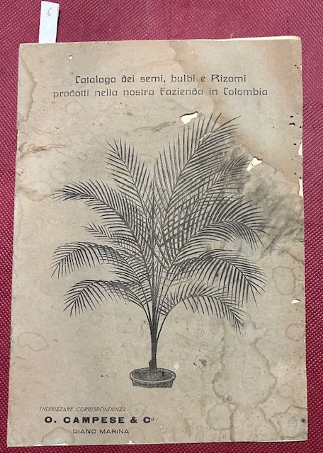 Catalogo dei semi, bulbi e rizomi prodotti nella nostra fazienda …