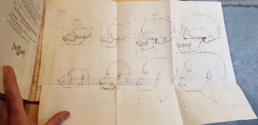 Dissertation physique, sur les différences réelles que présentent les traits …