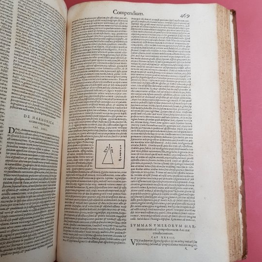 Diuini Platonis Opera omnia Marsilio Ficino interprete. Noua editio, adhibita …