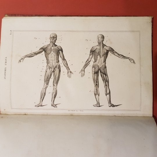 Enciclopedia economica accomodata all'intelligenza ed ai bisogni d'ogni ceto di …