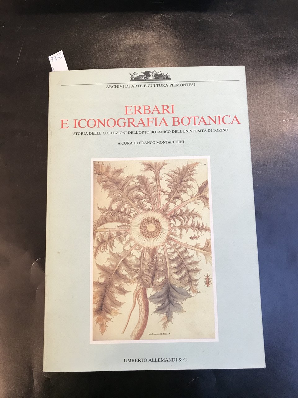 ERBARI E ICONOGRAFIA BOTANICA - Storia delle collezioni dell'orto botanico … | Immagine principale