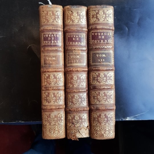 Relation d'un voyage du Levant fait par ordre du roy, …