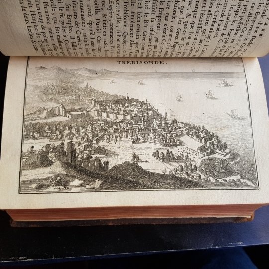 Relation d'un voyage du Levant fait par ordre du roy, …