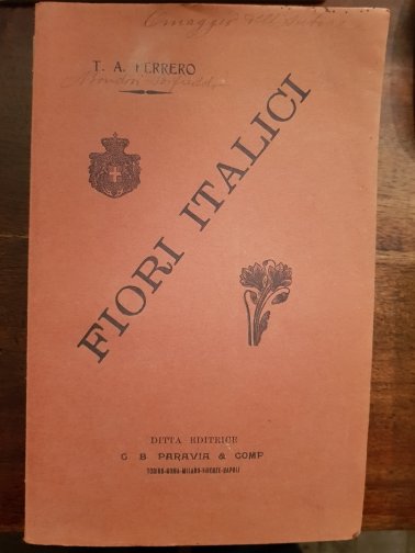 Fiori Italici