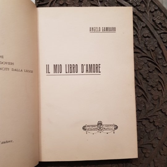 Il mio libro d'amore