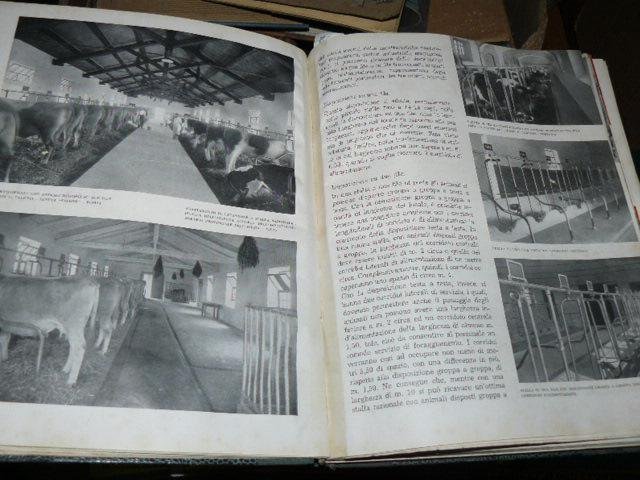 Impianti zootecnici razionali.