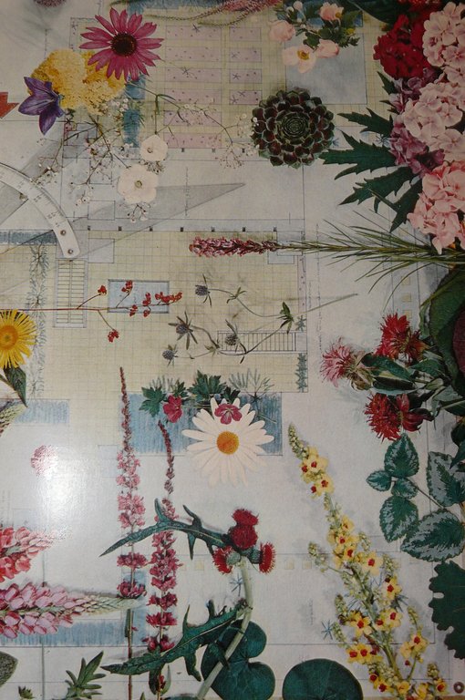 International photos. Band III. Herausgeber: Nikolaus Karpf