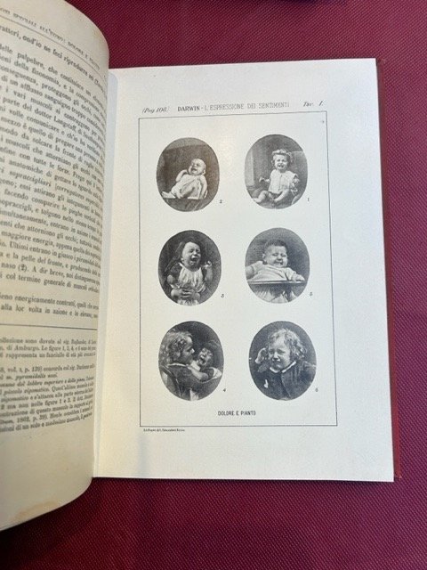 L'espressione dei sentimenti nell'uomo e negli animali. Versione italiana col …