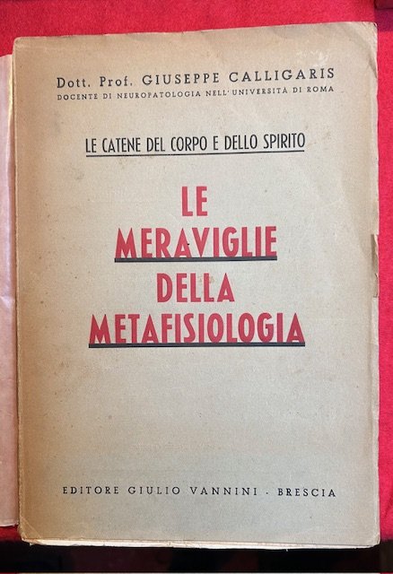 Le meraviglie della Metafisiologia. Le catene del corpo e dello …