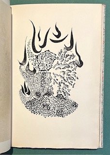 Le Soleil placé en abîme. Eaux-fortes originales de Jacques Herold