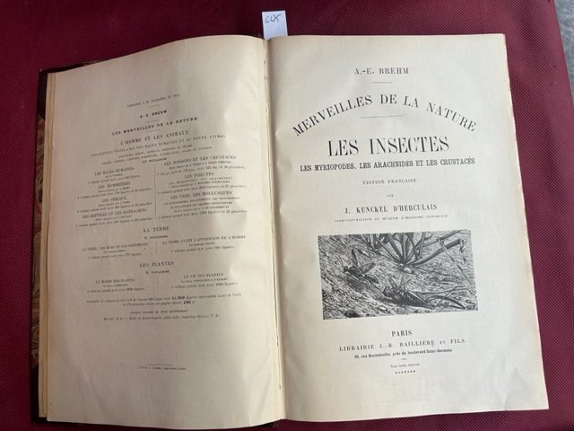 Les insectes. Les pyriopodes, les arachnides et les crustacés. Édition …