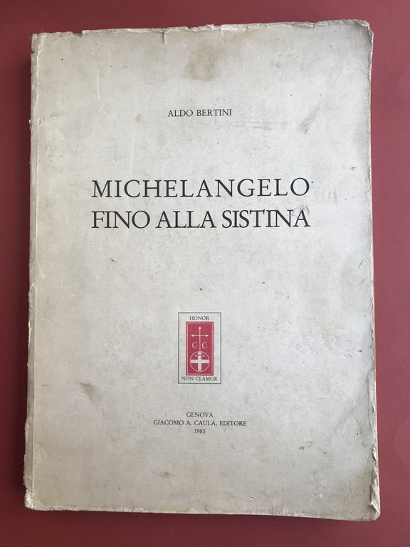 Michelangelo fino alla Sistina