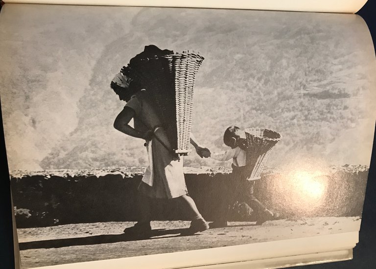 Montagna oggi e domani