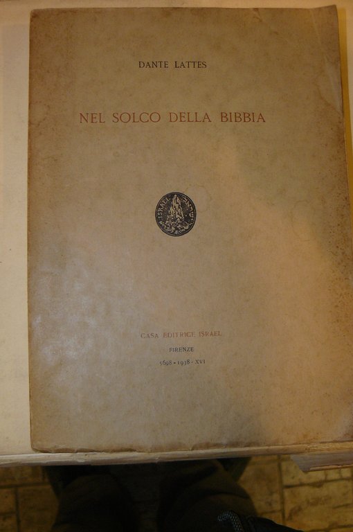 Nel solco della Bibbia