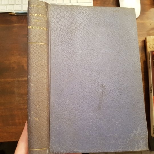 Nell'Africa romana. Tripolitania