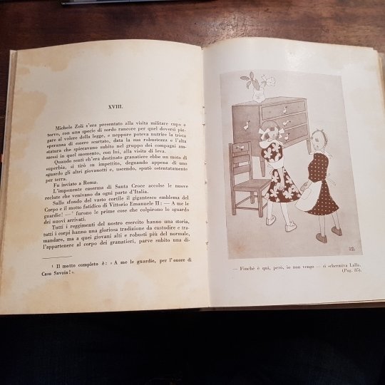 Piccole ali e grandi cuori. Racconto per fanciulli. Illustrazioni di …