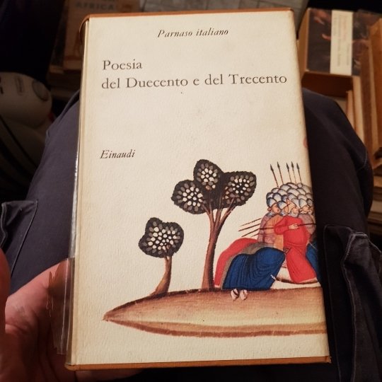 POESIA DEL DUECENTO E DEL TRECENTO.