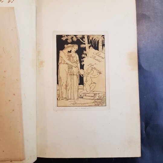 Scherzi poetici e pittorici
