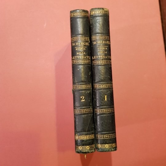 Storia della letteratura antica e moderna. Traduzione dal tedesco di …