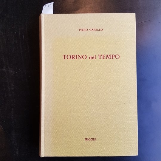 Torino nel tempo