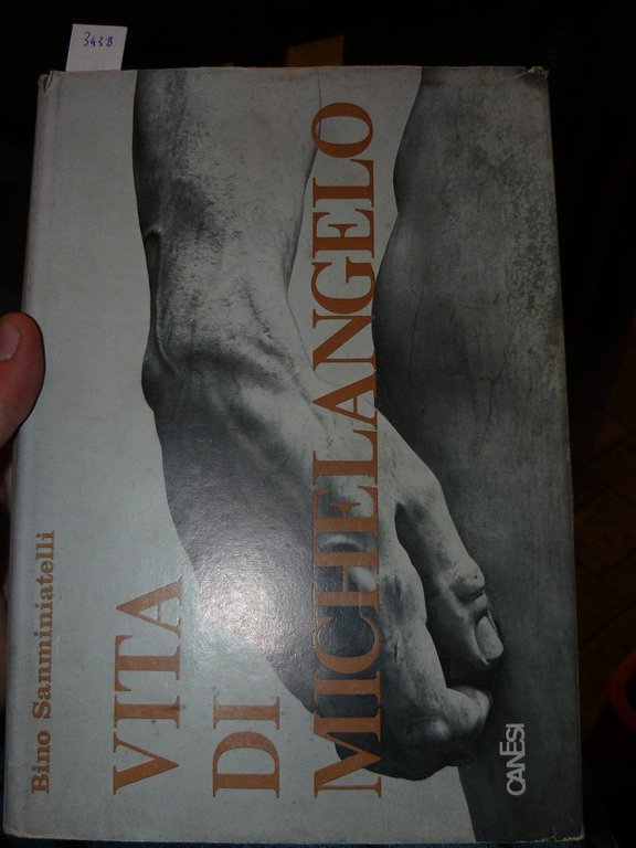Vita di Michelangelo