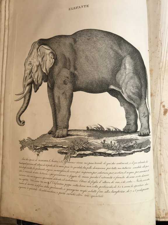 Zoologia morale esposta in centoventi discorsi in versi o in … | Immagine Gallery 1