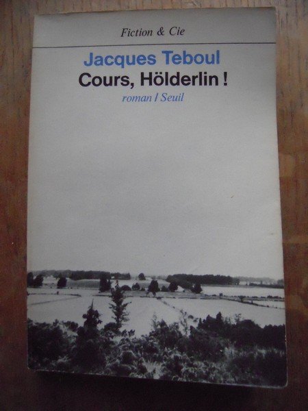 Cours, Hölderlin! - roman