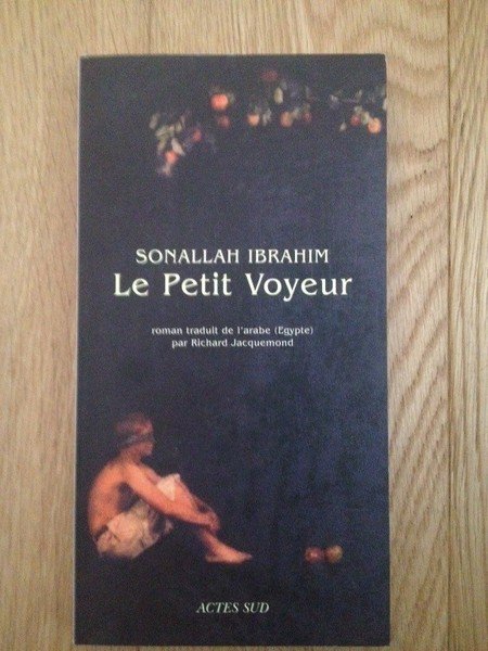 Le petit voyeur