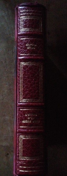 L'ombre d'un arbre mort