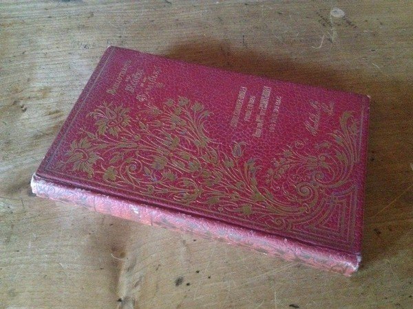 Suger, agriculteur, abbé de Saint-Denis, colonisateur, fondateur de villes, ministre, …