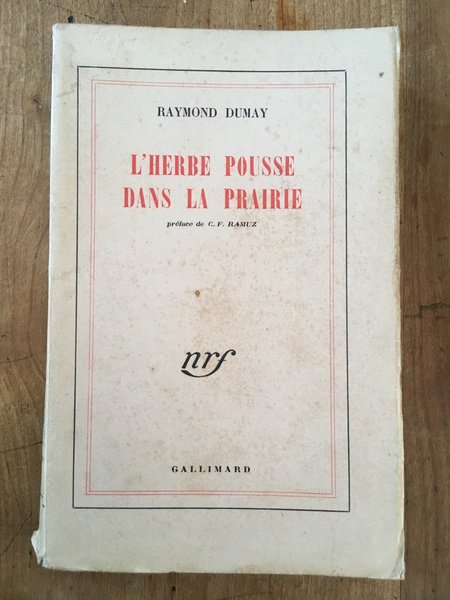 L'Herbe pousse dans la prairie