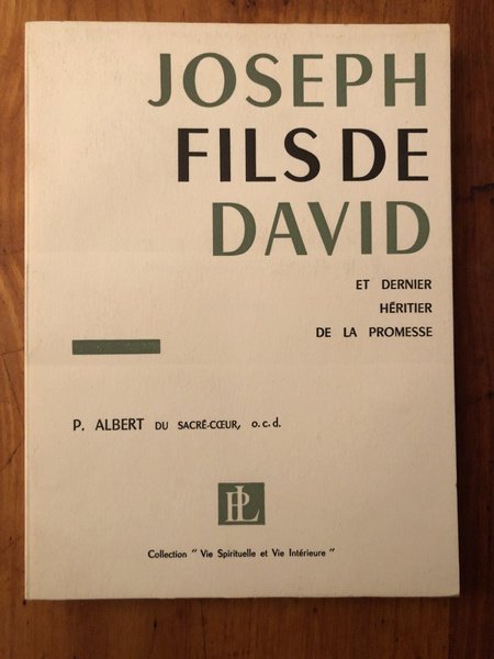 Joseph fils de David et dernier héritier de la promesse