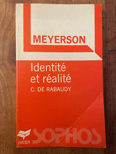 Meyerson, identité et réalité