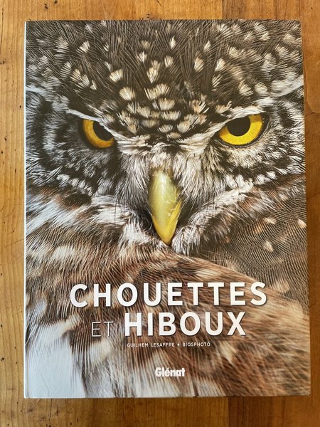 Chouettes et hiboux