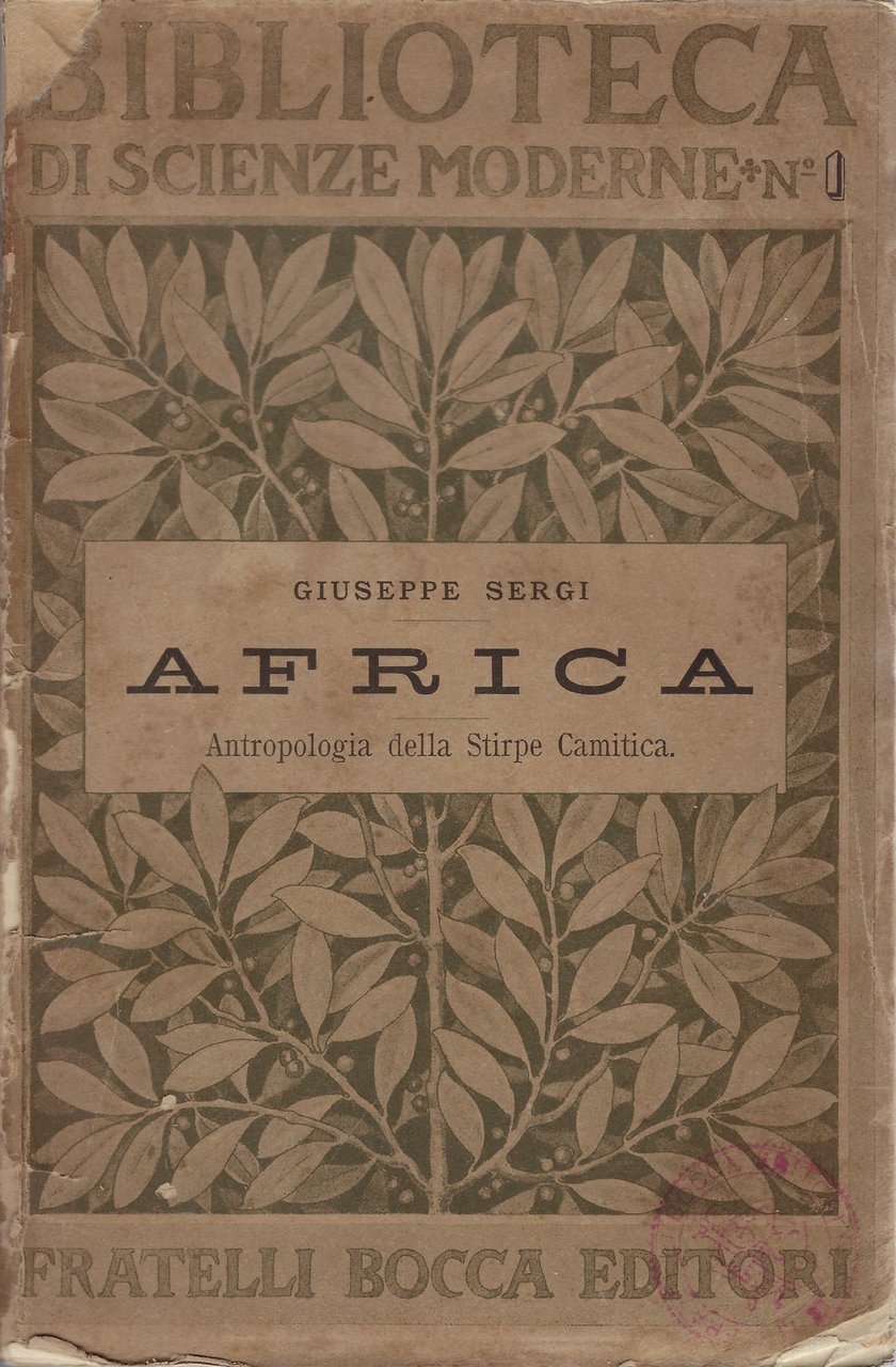 Africa, antropologia della stirpe camitica