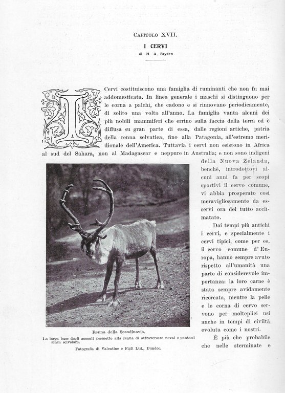 Animali viventi. Storia naturale.