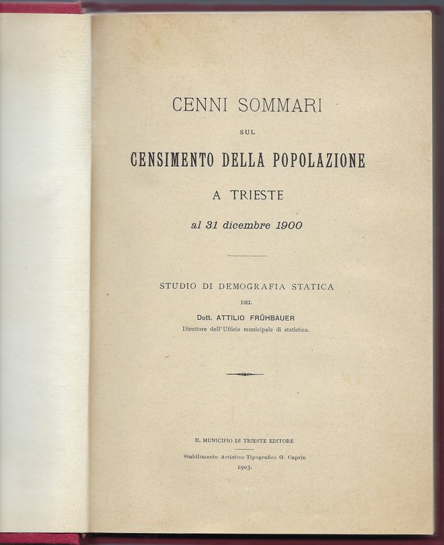 Cenni sommari sul censimento della popolazione a Trieste al 31 …