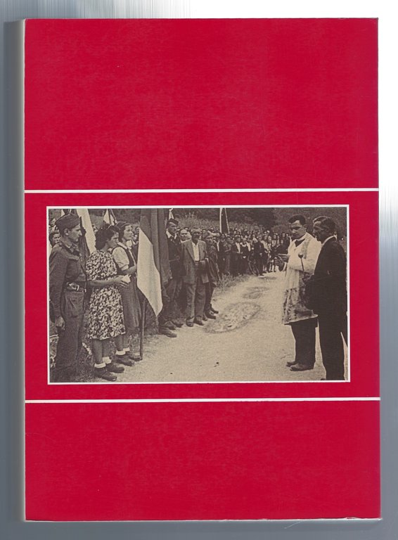 Chiesa e società nel Goriziano: fra guerra e movimenti di …